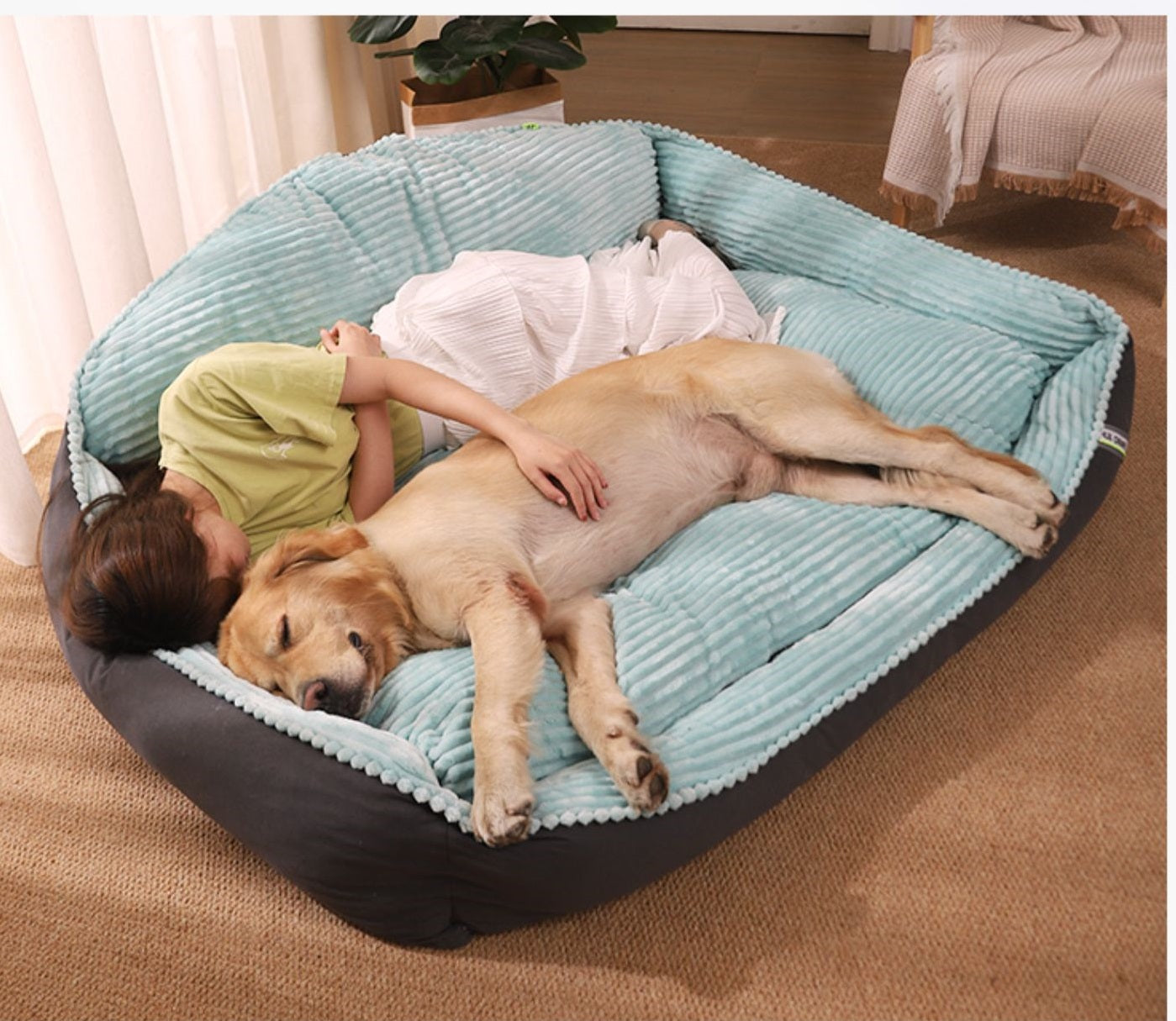 Waschbares Hundebett
